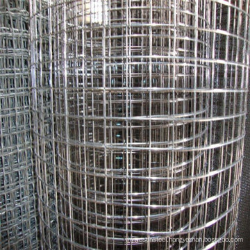 electic galvanized welded wire mesh